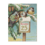 Birds on Decemeber 25th Postcards