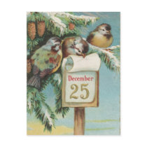 Birds on Decemeber 25th Postcards
