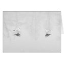 Birds on Ice cards