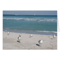 birds on ocean beach cards by sbkerrick birds on ocean beach cards