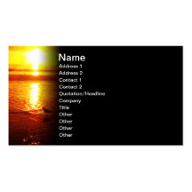 Birds on Santa Monica Beach at Sunset. Business Card Template