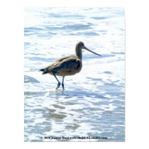 Birds On Stinson Beach Image #1