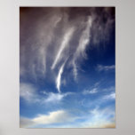 Birds on the Horizon posters