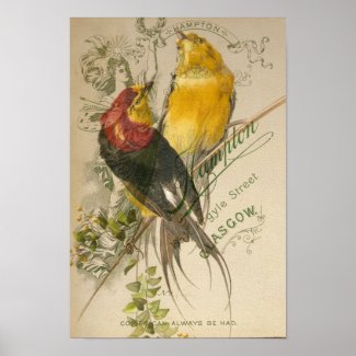 Birds on Vintage Photo Back print