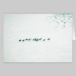 Birds on White cards