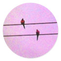 Birds "online" stickers by Zenyaris Birds "online" stickers
