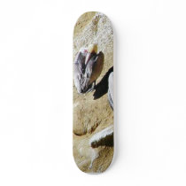 Birds Pelicans Poop skateboards