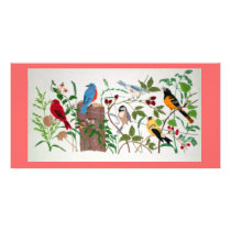 Birds Photo Card Template