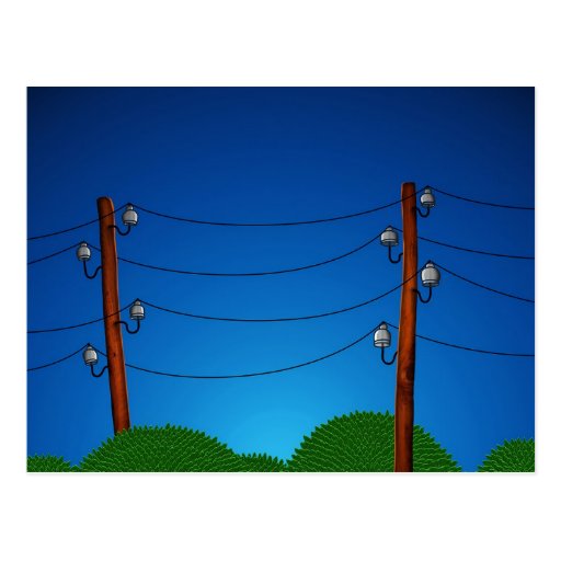 Birds Post Card