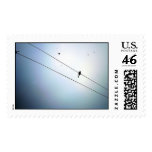 Birds postage