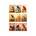 Birds posters