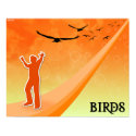 Birds posters