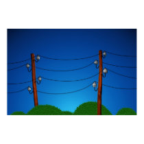 Birds posters by vladstudio Birds posters