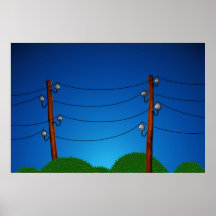Birds Posters
