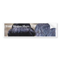 Birds Ravens Feathers Black bumper stickers by lifesphere Birds Ravens Feathers Black bumper stickers