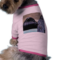 Birds Ravens Feathers Black pet clothing by lifesphere Birds Ravens Feathers Black pet clothing