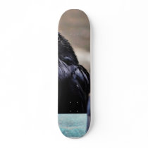 Birds Ravens Feathers Black skateboards