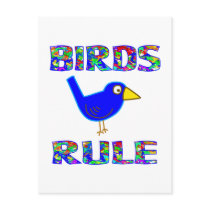 BIRDS RULE POSTCARDS