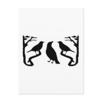 Birds Silhouette Postcards