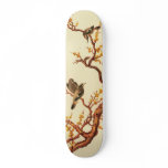 Birds skateboards