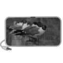 Birds Speaker speakers