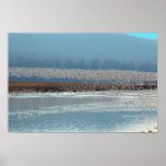 Birds Take Flight - poster