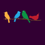Birds Together