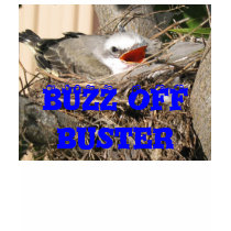 birds t-shirts