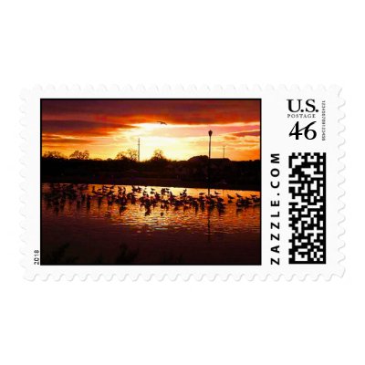 birds with sunset postage stamp by joacreations