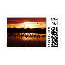 birds with sunset postage by joacreations birds with sunset postage