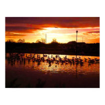 birds with sunset print by joacreations birds with sunset print