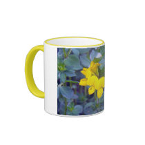 Birdsfoot Trefoil 1 Mug