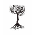 birdsontreecontrastcropped t-shirts