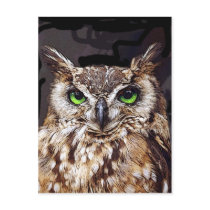 Birduk Post Card