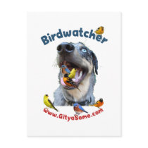 Birdwatcher Dog Postcard