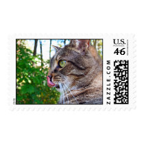 "Birdwatching" Stamp