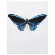 Birdwing Butterfly Flyer Design