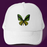 Birdwing Butterfly hats