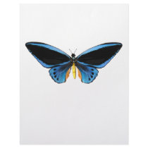 Birdwing Butterfly Letterhead Template
