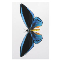 Birdwing Butterfly Customized Stationery