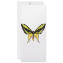 BirdWingX Butterfly Full Color Rack Card
