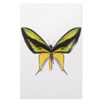 BirdWingX Butterfly Personalized Stationery