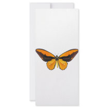 BirdWingY Butterfly Custom Rack Cards