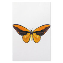 BirdWingY Butterfly Customized Stationery