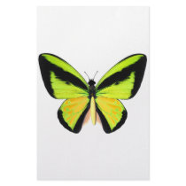 BirdWingZ Butterfly Custom Stationery