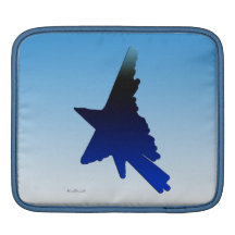 Birdx Sleeves For iPads