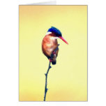 birdy cards
