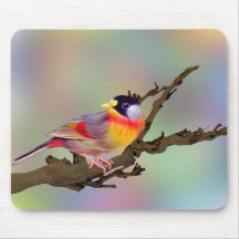 Birdy Mousepad