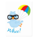 Birdy Parachute Post Card
