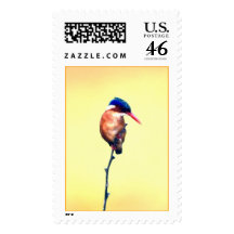 Birdy Postage Stamp